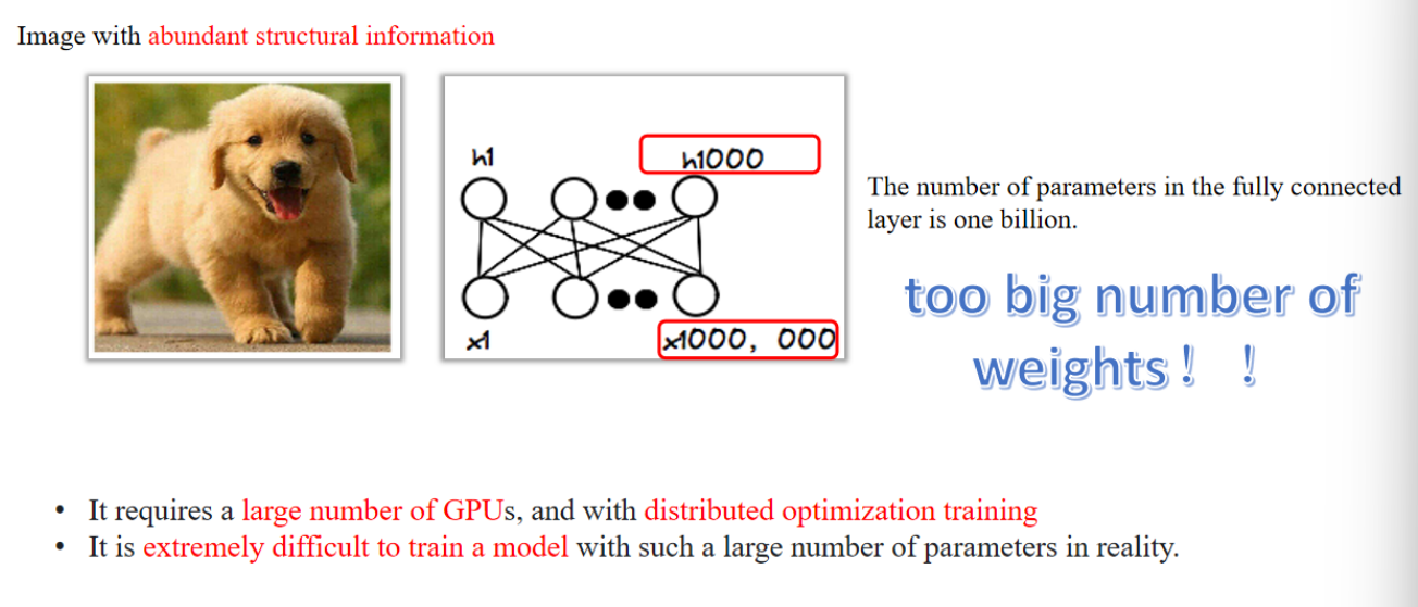 image-20250529211225533